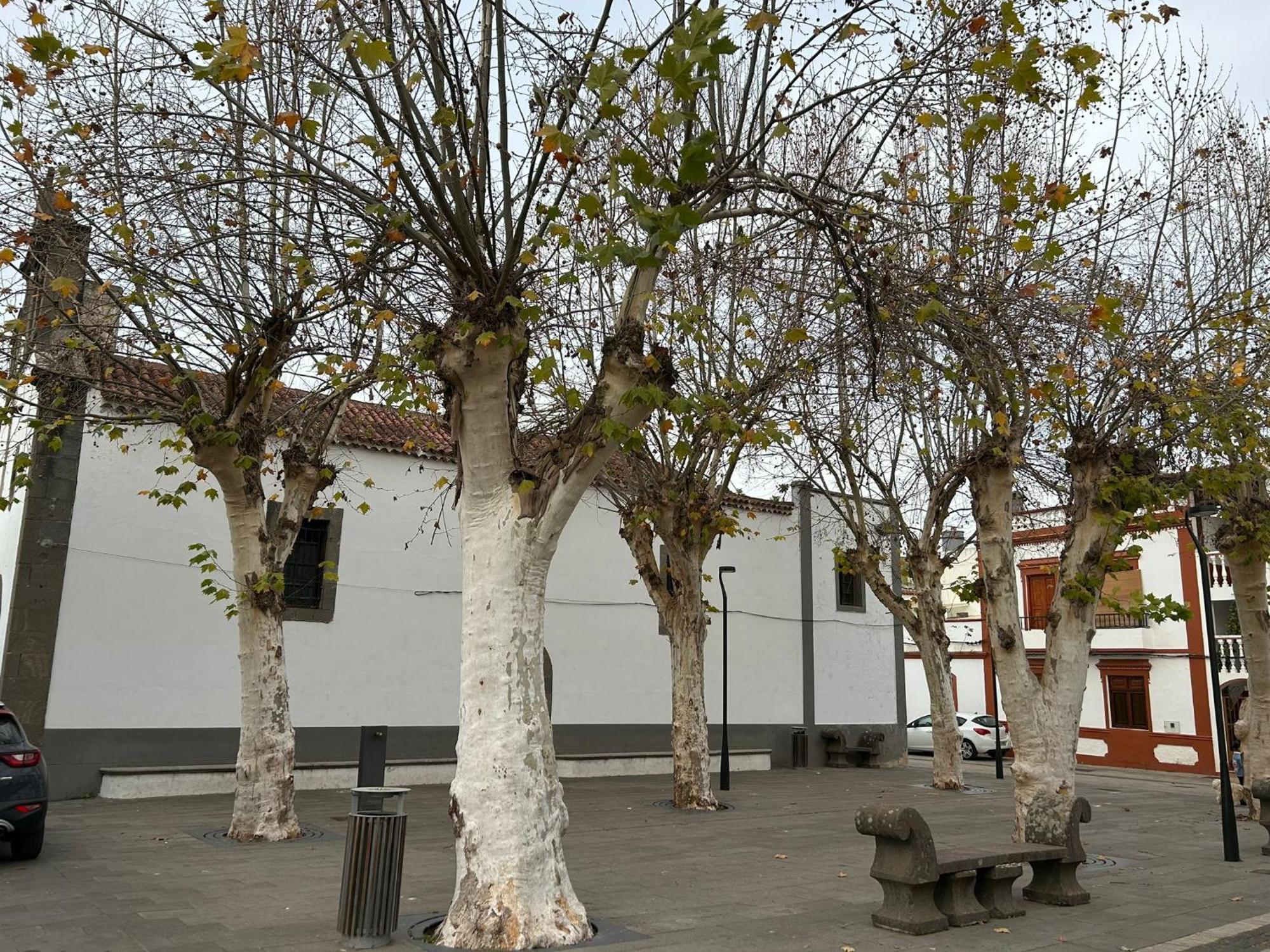 Vivienda Alpa Fontanales
